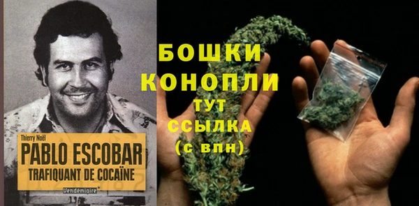 PSILOCYBIN Абдулино