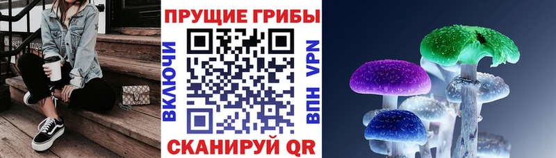 Псилоцибиновые грибы Magic Shrooms  даркнет сайт  Западная Двина 